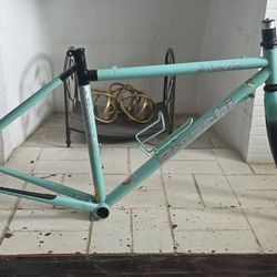 2005 Bianchi Brava 50cm Frameset