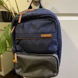 Echolac Laptop Backpack