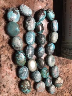 Polished TURQUOISE $15 each