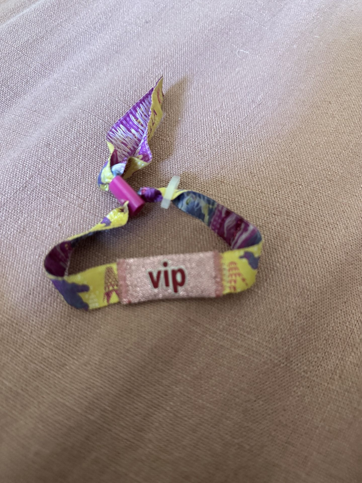 VIP Coachella 2 - Sunday