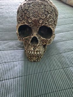 Skull