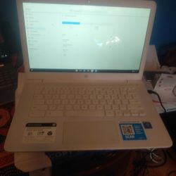 HP Chromebook. Laptop.