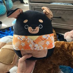 Mateo the Rottweiler In Hawaiian Shirt Squishmallow
