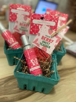 Scentsy Teacher Appreciation Gifts 