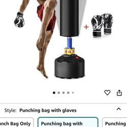 Box With Stand And Gloves 
