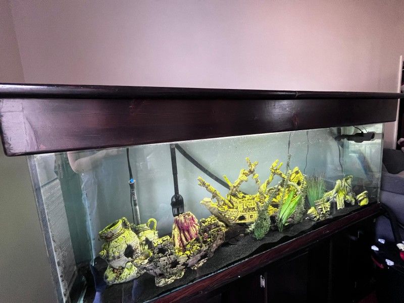 180 Gallon Fish Tank With FX6