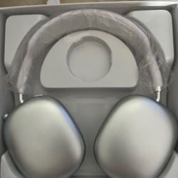 Apple HeadPhones 