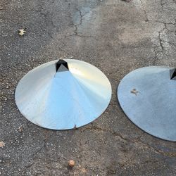 squirrel Deing Metal Cones