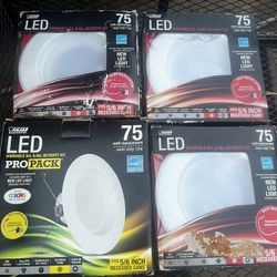 LED DIMMABLE FEIT LIGHTS