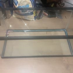 20 Gallon Fish Tank