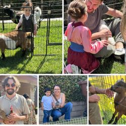 Mini Mobile Zoo - Mini Farm 🐐🐓🐇