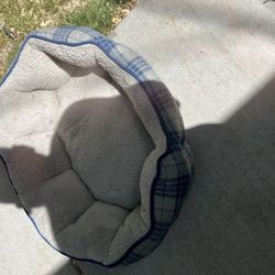 Dog Beds And Medi Cone 