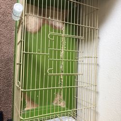 Pet Cage 