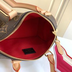 Speedy Allure Louis Vuitton Bag
