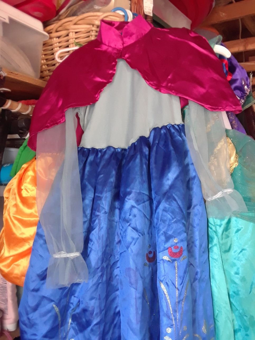 Princess Anna Costume