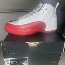 Air Jordan 12