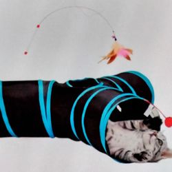 Cat Tunnel 3-way - $10 - New
Includes feather wand 
