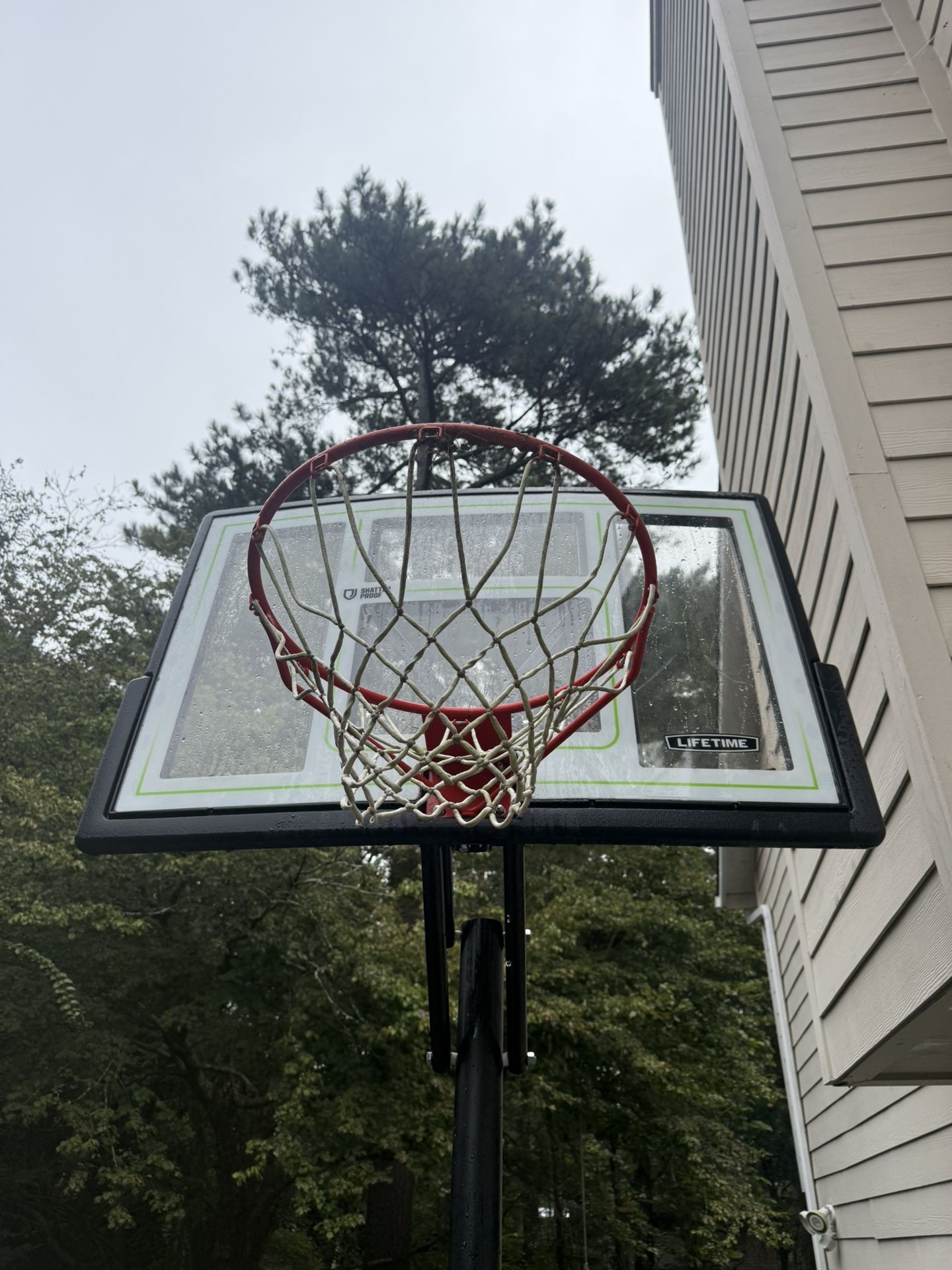 Lifetime Basketball Hoop (Shatterproof Glass)