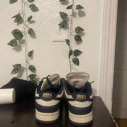 Nike Dunks Navy Blue