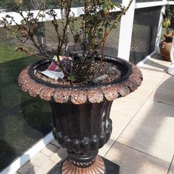 X Huge Pot With Huge Mini Red Rose In Weeki Wachee Erea Code 34613