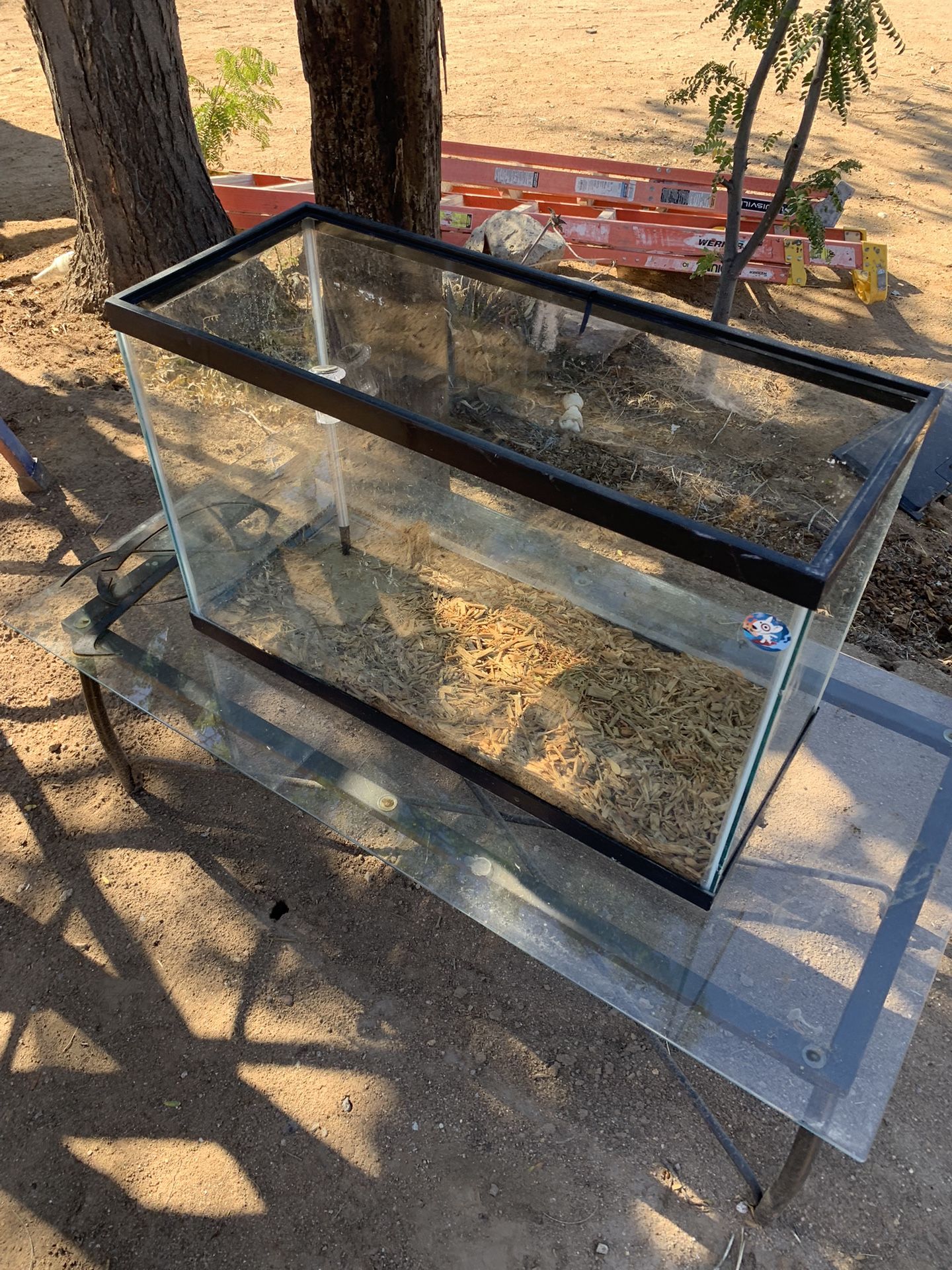 Fish/reptile Tank