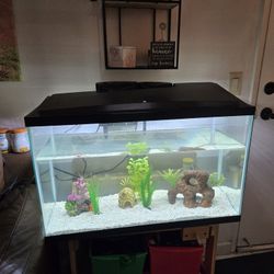 Fish Tank