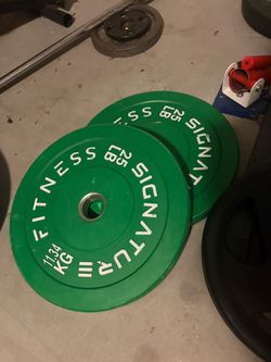 1 pair 25 lb bumper plates