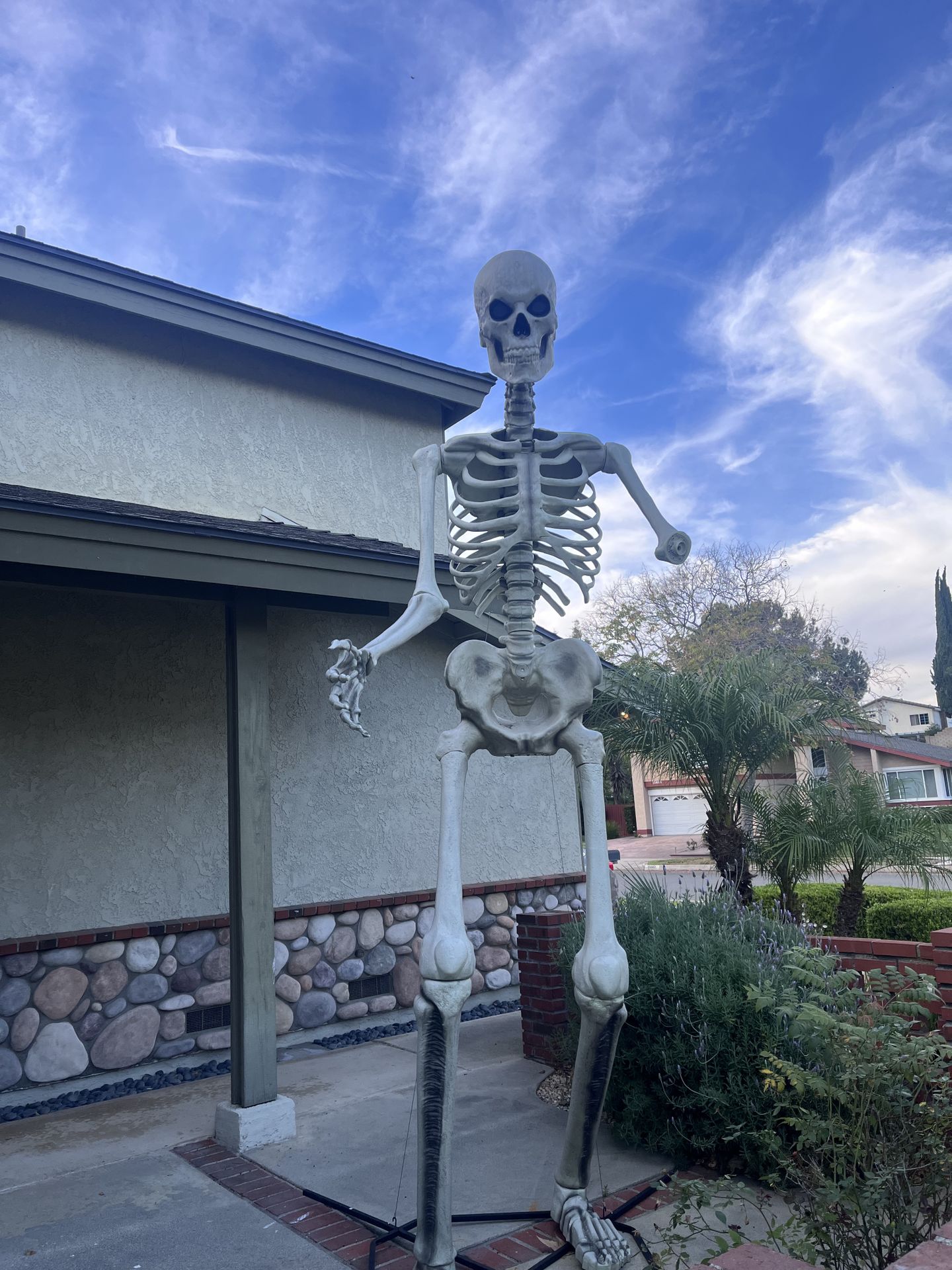 12ft skeleton