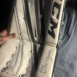Goalie Pads 31+1