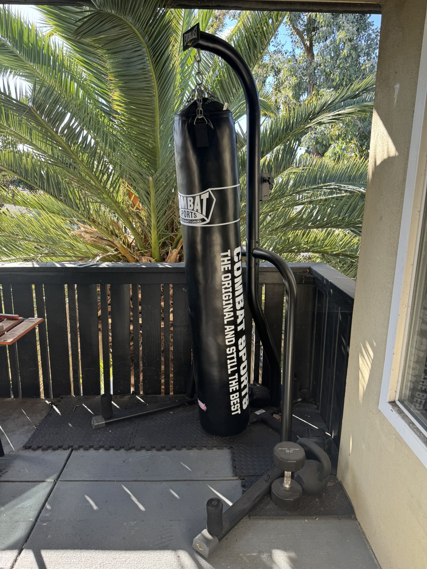 combat sports 100 pound bag plus everlast stand