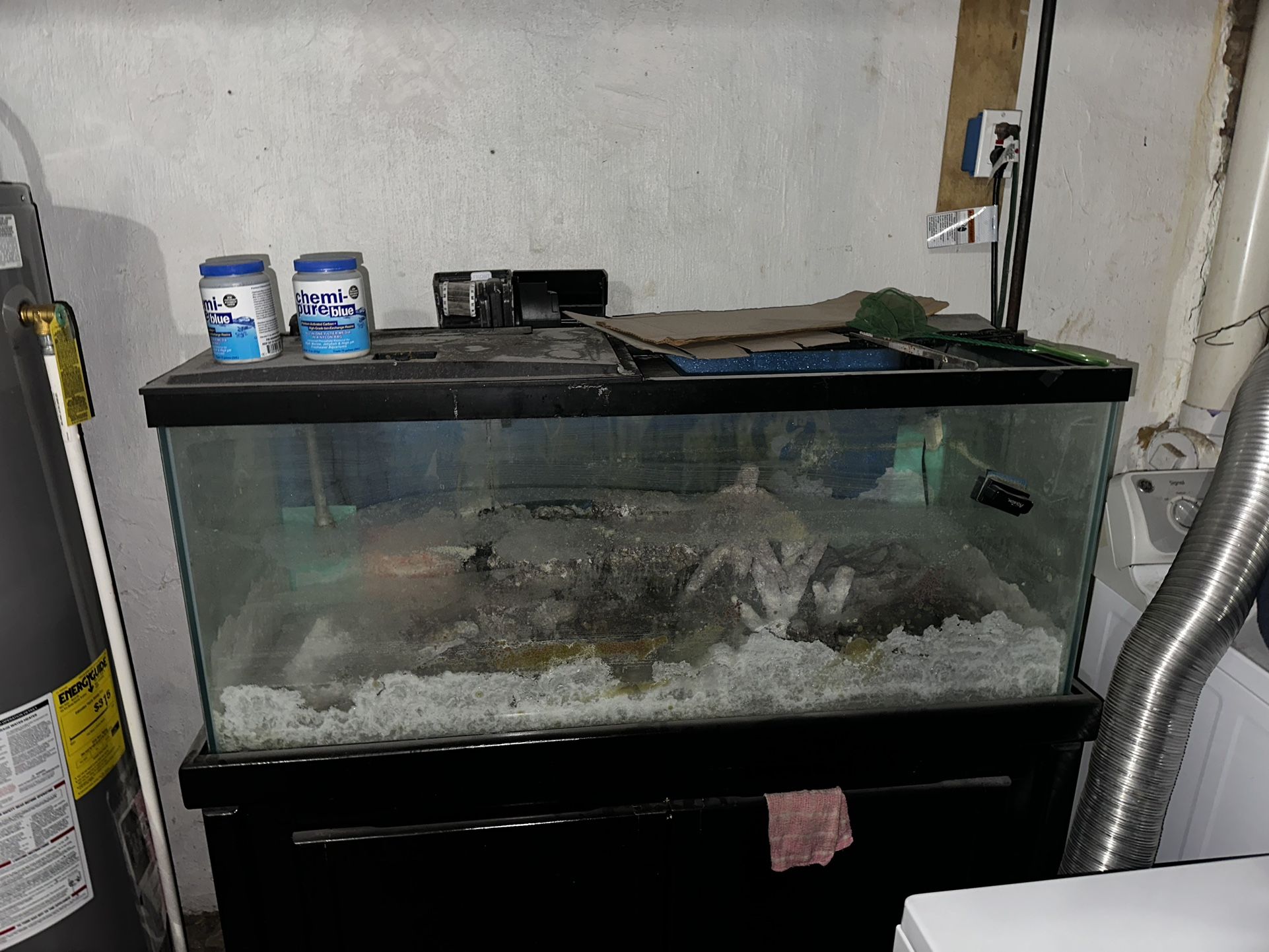 75 Gal Tank With Stand & Equipment