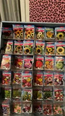 Flower seeds FERRY MORSE