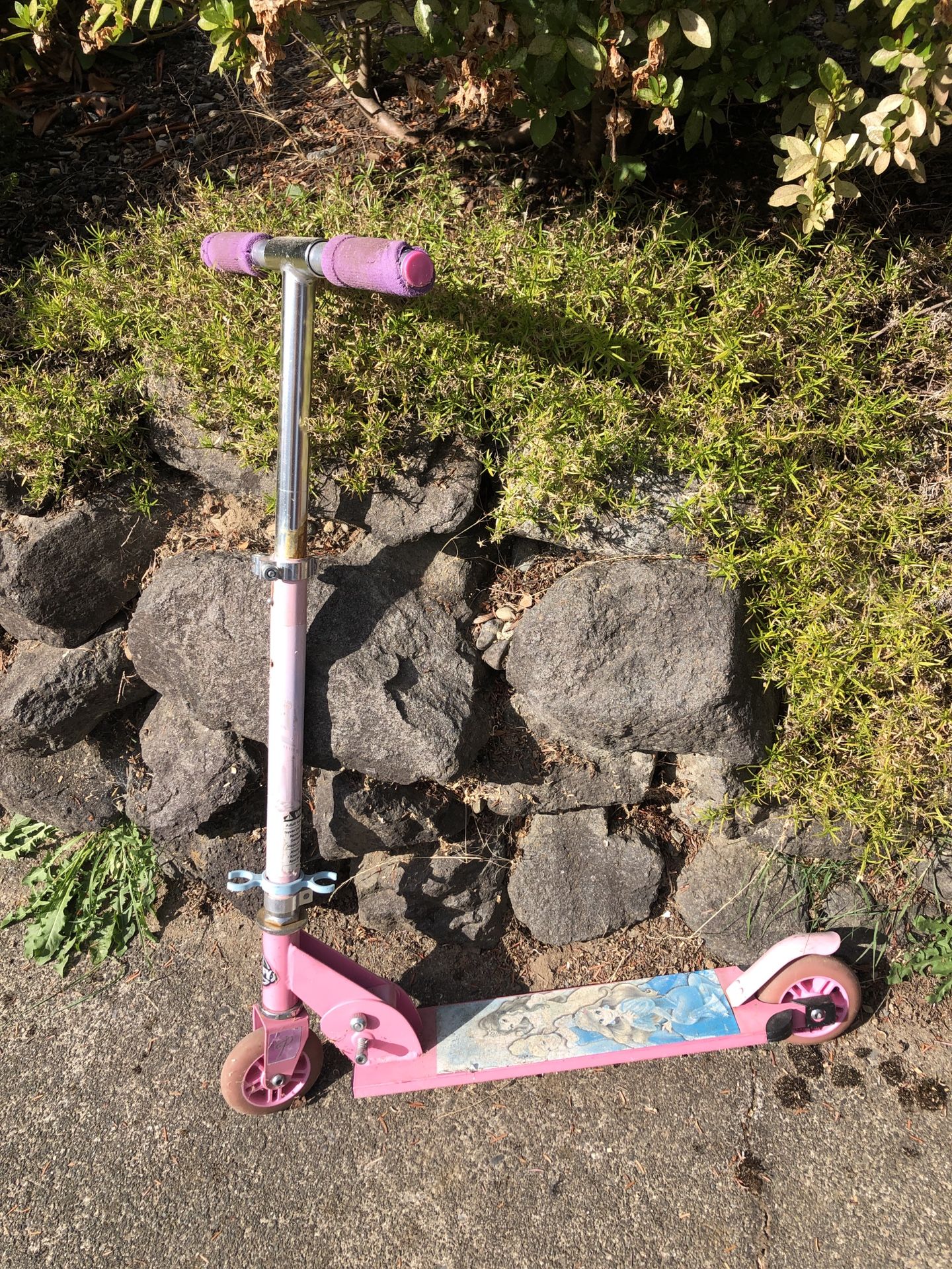 Kids Scooter