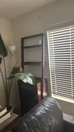 Living room Bar and storage