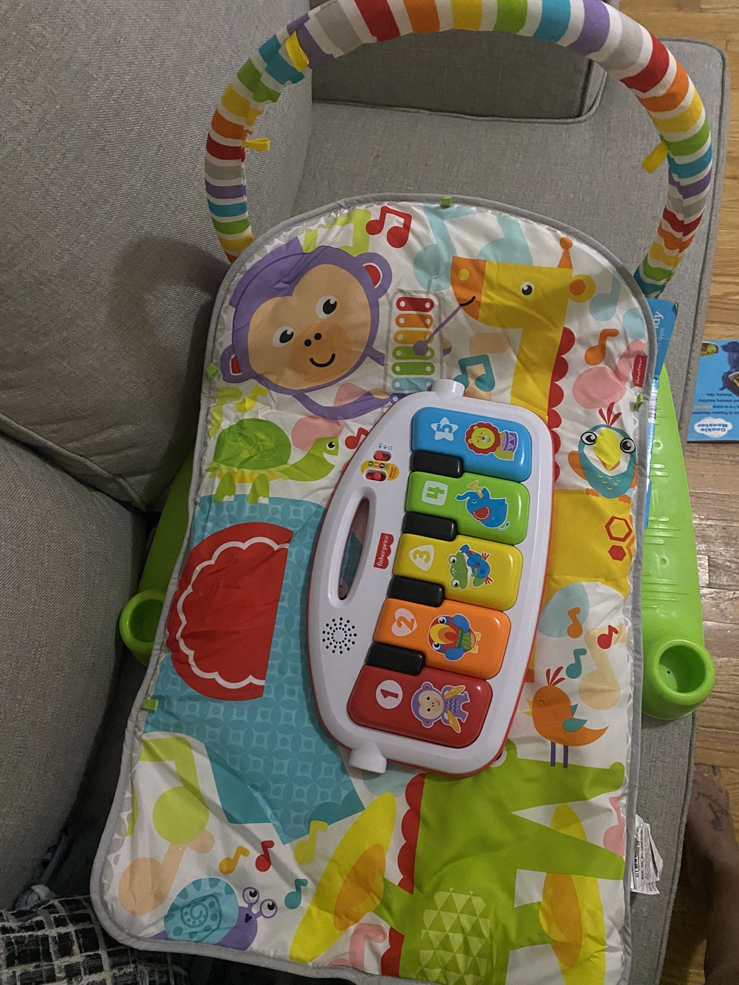 Fisher Price Delux Kick And Play