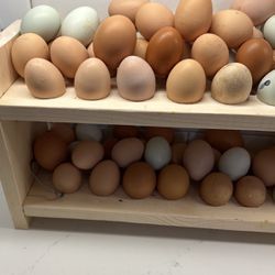 Chicken Eggs Farm Fresh Free Range