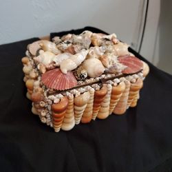 Seashell Jewelry Box 