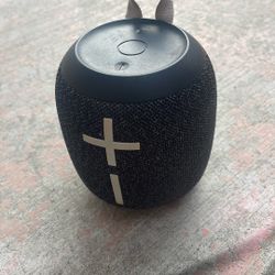 Wonderboom 2 