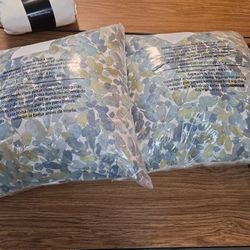 Please READ ENTIRE POST 2 Decor Pillows 