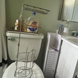 Style Selections Chrome Toilet Paper Holder 