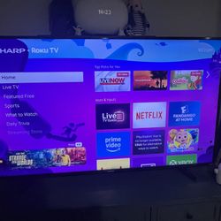 Sharp 58in Roku Tv