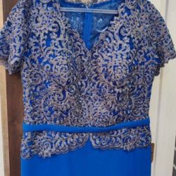 Gorgeous Special Occasions Dress 