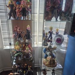 Display Glass Case