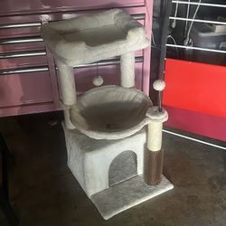 Kittens House