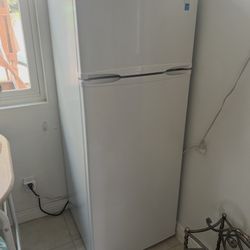 Small Fridge 