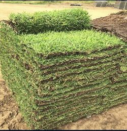 Pallets Of Grass  (sod)