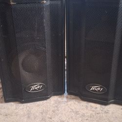 Peavy Tri-Flex  satellite/monitor