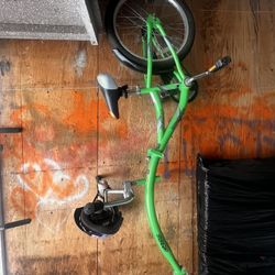 🌟 Green Kids Tag-Along Bike – Family Ride Fun!