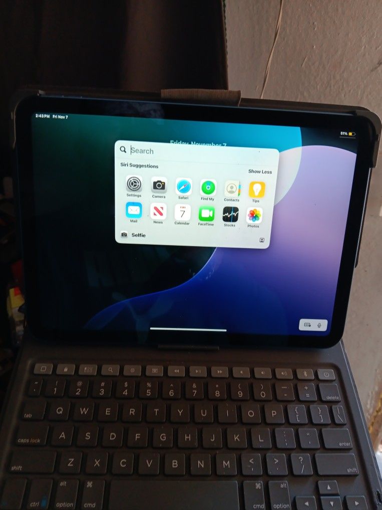 10th Generation IPad 