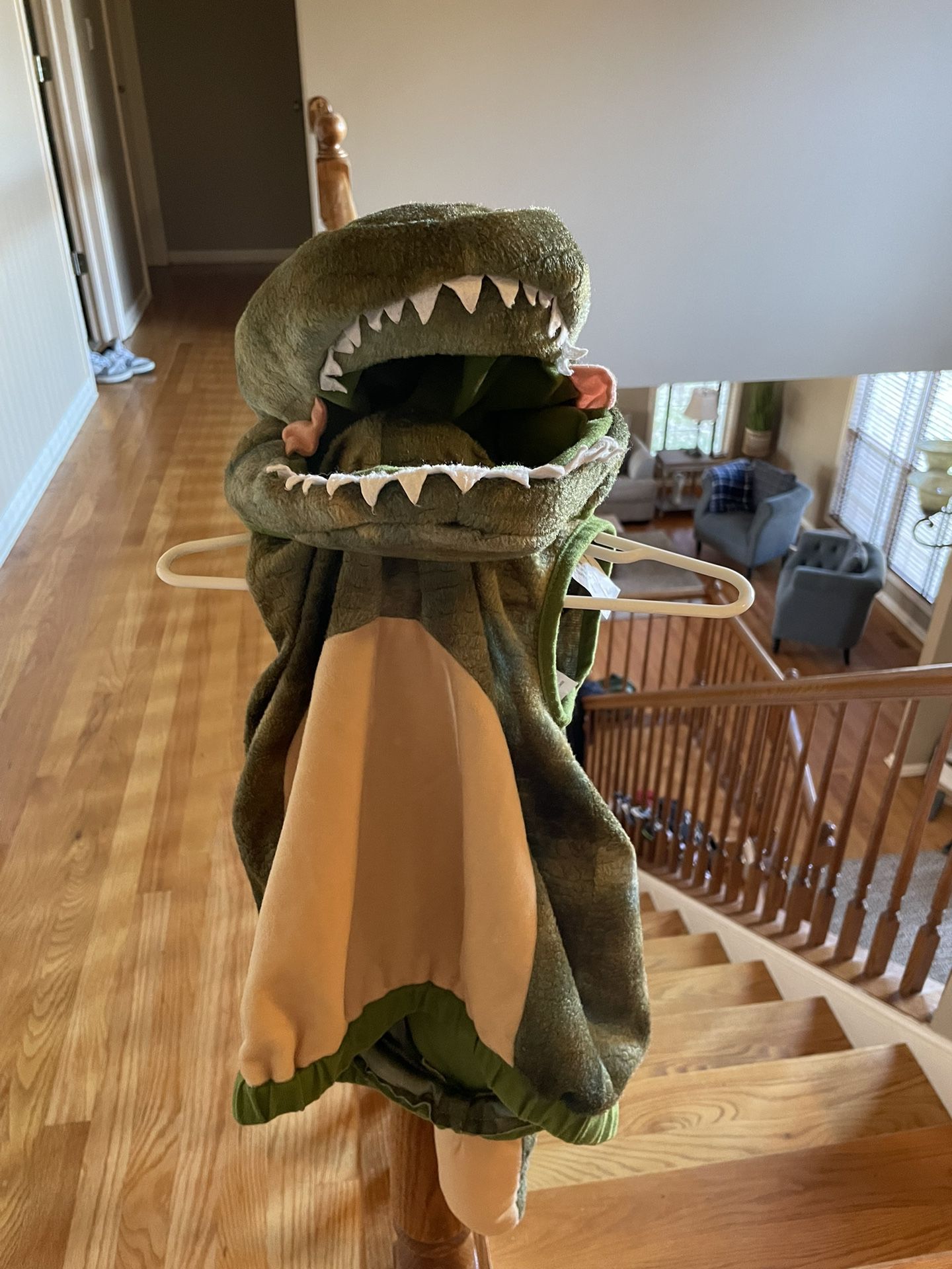 Toddler Dinosaur Costume 